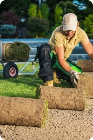 Landscaping
